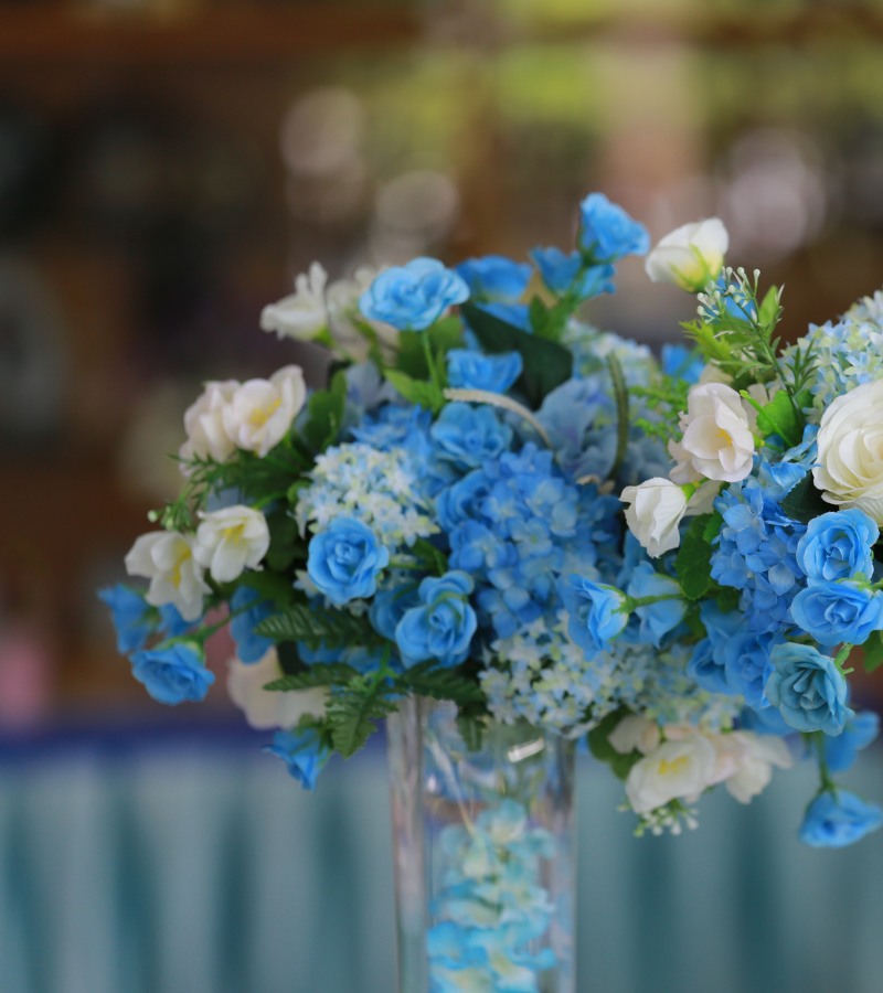 untitled-design-2025-02-27t110000.483.png