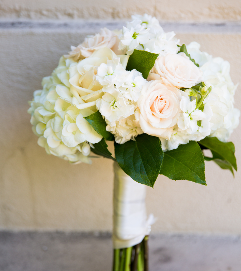 untitled-design-2025-02-27t110111.585.png