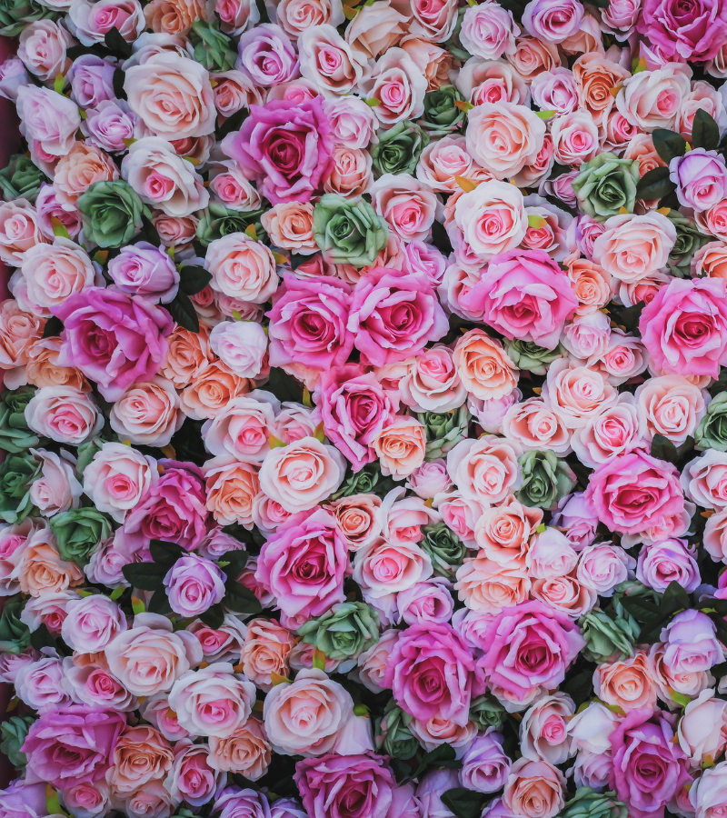untitled-design-2025-02-27t110602.521.png