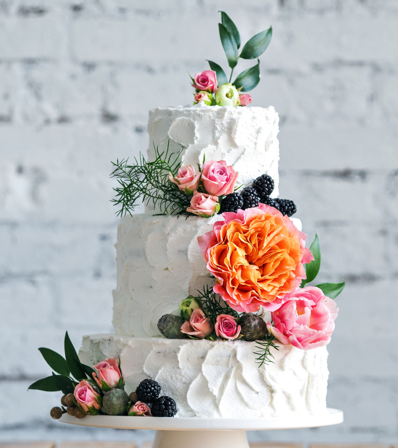 untitled-design-2025-02-27t111155.413.png