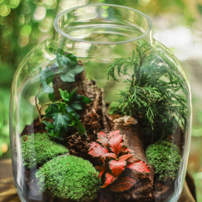 untitled-design-31-.png untitled-design-31-.png